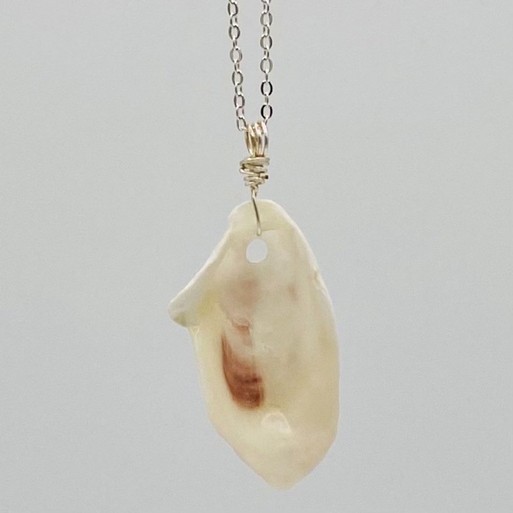 Shell Pendant on 18" Silver Chain Necklace; S18-41